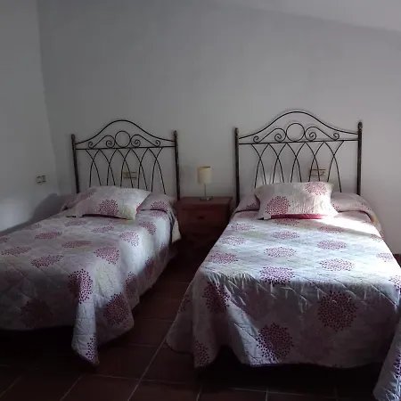 Aguacate Con Apto * Nerja