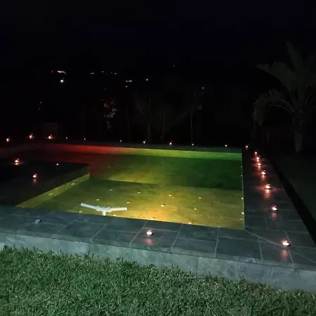 Aguacate Con Apto ネルハ