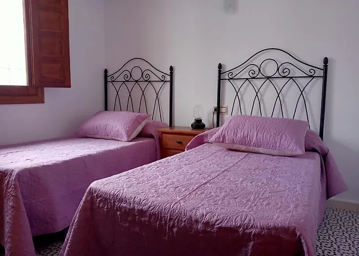 Aguacate Con Apto Nerja